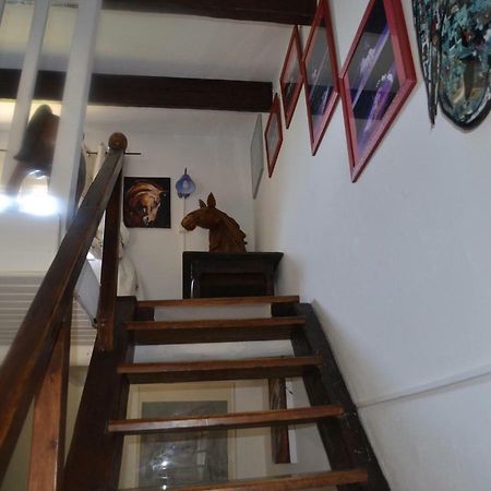 סן-מארי-דה-לה-מאר Gites Chambres D'Hotes Mazet Du Marechal Ferrant מראה חיצוני תמונה