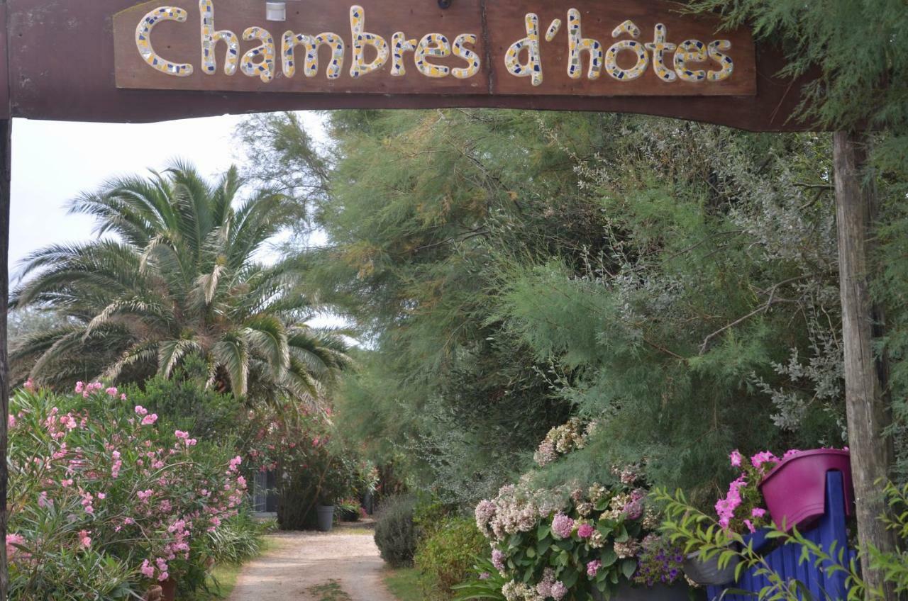 סן-מארי-דה-לה-מאר Gites Chambres D'Hotes Mazet Du Marechal Ferrant מראה חיצוני תמונה