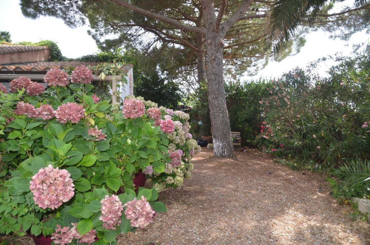 סן-מארי-דה-לה-מאר Gites Chambres D'Hotes Mazet Du Marechal Ferrant מראה חיצוני תמונה